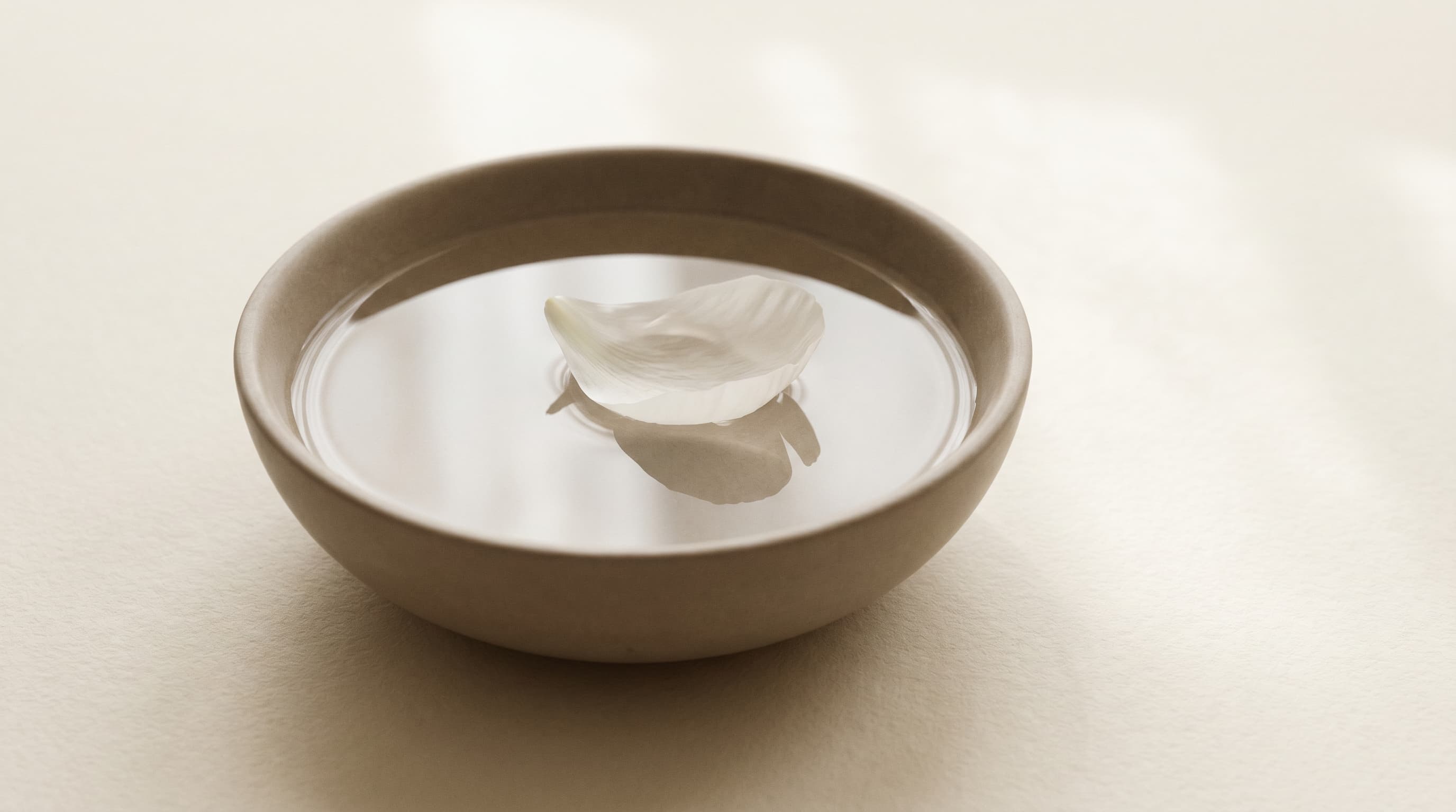 A single petal floating on still water in a cream stone bowl